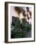 Flower-Filled Village Street, Eguisheim, Haut-Rhin, Alsace, France-Ruth Tomlinson-Framed Photographic Print