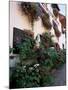 Flower-Filled Village Street, Eguisheim, Haut-Rhin, Alsace, France-Ruth Tomlinson-Mounted Photographic Print