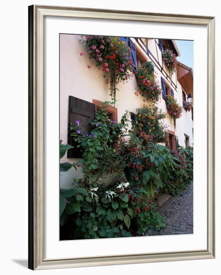 Flower-Filled Village Street, Eguisheim, Haut-Rhin, Alsace, France-Ruth Tomlinson-Framed Photographic Print