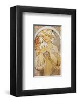 Flower: Final Study for Decorative Panel, 1897-Alphonse Mucha-Framed Premium Giclee Print