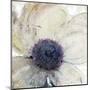 Flower Flow II-Tim O'toole-Mounted Art Print