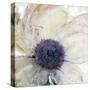 Flower Flow II-Tim O'toole-Stretched Canvas
