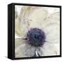 Flower Flow II-Tim O'toole-Framed Stretched Canvas