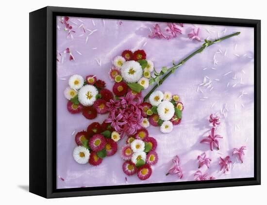 Flower Formed from Daisies, Hyacinths and Goat Willow-Friedrich Strauss-Framed Stretched Canvas
