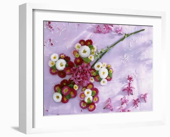 Flower Formed from Daisies, Hyacinths and Goat Willow-Friedrich Strauss-Framed Photographic Print