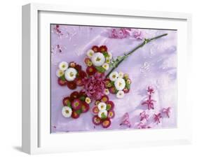 Flower Formed from Daisies, Hyacinths and Goat Willow-Friedrich Strauss-Framed Photographic Print