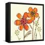 Flower Friends-Robbin Rawlings-Framed Stretched Canvas