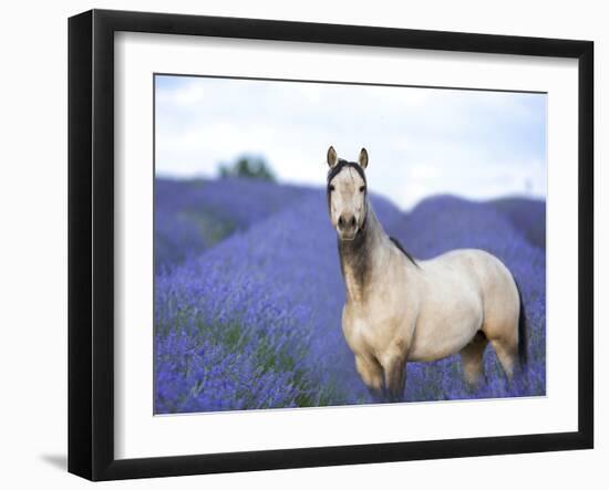 Flower Frolick III-Ozana Sturgeon-Framed Photographic Print