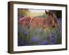 Flower Frolick VI-Ozana Sturgeon-Framed Photographic Print