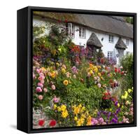 Flower Fronted Thatched Cottage, Devon, England, United Kingdom, Europe-Stuart Black-Framed Stretched Canvas