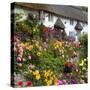 Flower Fronted Thatched Cottage, Devon, England, United Kingdom, Europe-Stuart Black-Stretched Canvas