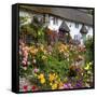 Flower Fronted Thatched Cottage, Devon, England, United Kingdom, Europe-Stuart Black-Framed Stretched Canvas