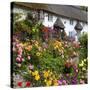 Flower Fronted Thatched Cottage, Devon, England, United Kingdom, Europe-Stuart Black-Stretched Canvas