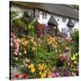 Flower Fronted Thatched Cottage, Devon, England, United Kingdom, Europe-Stuart Black-Stretched Canvas