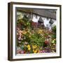 Flower Fronted Thatched Cottage, Devon, England, United Kingdom, Europe-Stuart Black-Framed Photographic Print