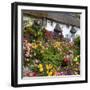 Flower Fronted Thatched Cottage, Devon, England, United Kingdom, Europe-Stuart Black-Framed Photographic Print