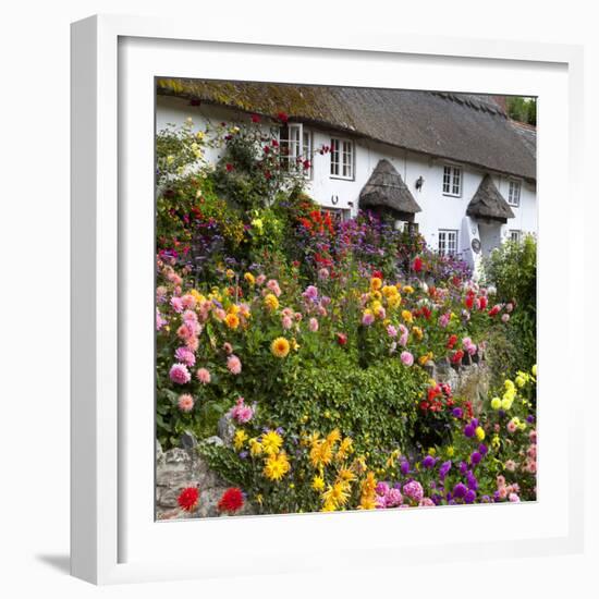 Flower Fronted Thatched Cottage, Devon, England, United Kingdom, Europe-Stuart Black-Framed Photographic Print