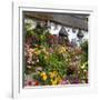 Flower Fronted Thatched Cottage, Devon, England, United Kingdom, Europe-Stuart Black-Framed Photographic Print