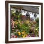 Flower Fronted Thatched Cottage, Devon, England, United Kingdom, Europe-Stuart Black-Framed Photographic Print