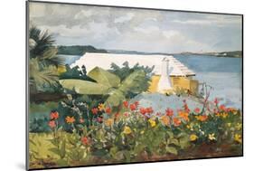 Flower Garden and Bungalow, Bermuda, 1899-Winslow Homer-Mounted Giclee Print