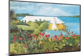 Flower Garden and Bungalow, Bermuda, c.1899-Winslow Homer-Mounted Premium Giclee Print