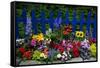 Flower Garden and Picket Fence-Darrell Gulin-Framed Stretched Canvas