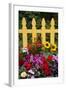 Flower Garden and Picket Fence-Darrell Gulin-Framed Photographic Print