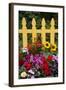 Flower Garden and Picket Fence-Darrell Gulin-Framed Photographic Print