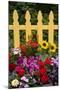 Flower Garden and Picket Fence-Darrell Gulin-Mounted Photographic Print