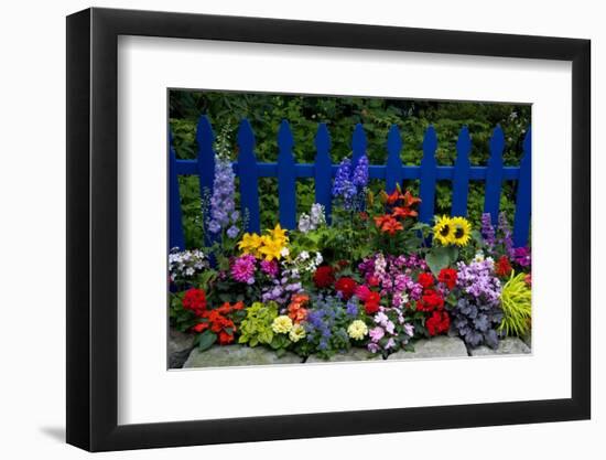 Flower Garden and Picket Fence-Darrell Gulin-Framed Photographic Print