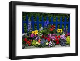 Flower Garden and Picket Fence-Darrell Gulin-Framed Photographic Print