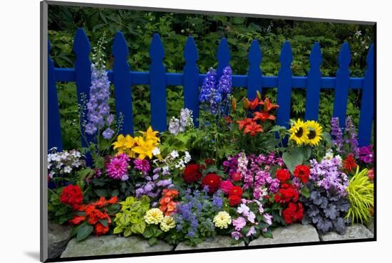 Flower Garden and Picket Fence-Darrell Gulin-Mounted Photographic Print