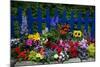 Flower Garden and Picket Fence-Darrell Gulin-Mounted Photographic Print