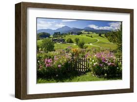 Flower Garden at Hoeglwoerth Monastery, Upper Bavaria, Bavaria, Germany-null-Framed Art Print