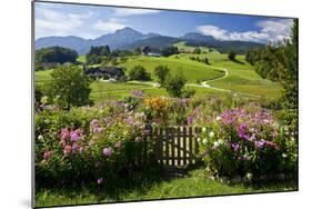 Flower Garden at Hoeglwoerth Monastery, Upper Bavaria, Bavaria, Germany-null-Mounted Art Print