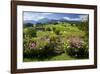 Flower Garden at Hoeglwoerth Monastery, Upper Bavaria, Bavaria, Germany-null-Framed Art Print