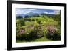 Flower Garden at Hoeglwoerth Monastery, Upper Bavaria, Bavaria, Germany-null-Framed Art Print