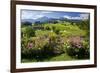 Flower Garden at Hoeglwoerth Monastery, Upper Bavaria, Bavaria, Germany-null-Framed Art Print