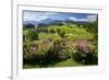 Flower Garden at Hoeglwoerth Monastery, Upper Bavaria, Bavaria, Germany-null-Framed Art Print