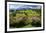 Flower Garden at Hoeglwoerth Monastery, Upper Bavaria, Bavaria, Germany-null-Framed Art Print