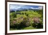 Flower Garden at Hoeglwoerth Monastery, Upper Bavaria, Bavaria, Germany-null-Framed Art Print