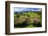 Flower Garden at Hoeglwoerth Monastery, Upper Bavaria, Bavaria, Germany-null-Framed Art Print