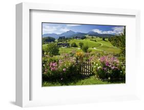 Flower Garden at Hoeglwoerth Monastery, Upper Bavaria, Bavaria, Germany-null-Framed Art Print