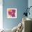 Flower Garden II-Sasha Blake-Framed Giclee Print displayed on a wall