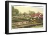 Flower Garden, Mt. Vernon, Virginia-null-Framed Art Print