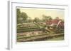 Flower Garden, Mt. Vernon, Virginia-null-Framed Art Print