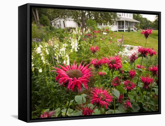 Flower Garden, Oakland House Seaside Resort, Brooksville-Jerry & Marcy Monkman-Framed Stretched Canvas