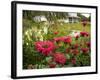Flower Garden, Oakland House Seaside Resort, Brooksville-Jerry & Marcy Monkman-Framed Photographic Print