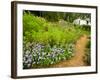 Flower Garden, Oakland House Seaside Resort, Brooksville-Jerry & Marcy Monkman-Framed Photographic Print