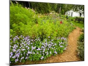 Flower Garden, Oakland House Seaside Resort, Brooksville-Jerry & Marcy Monkman-Mounted Photographic Print